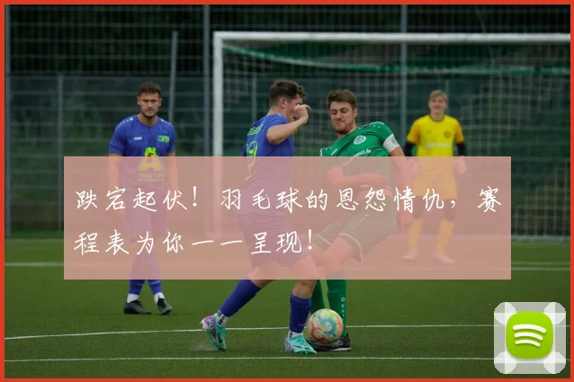 跌宕起伏！羽毛球的恩怨情仇，赛程表为你一一呈现！